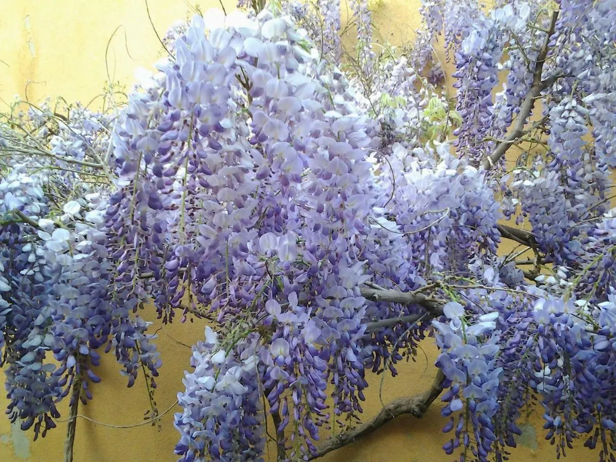 Bed And Breakfast Il Sole Quartucciu 0*, Quartu Sant'Elena Italien