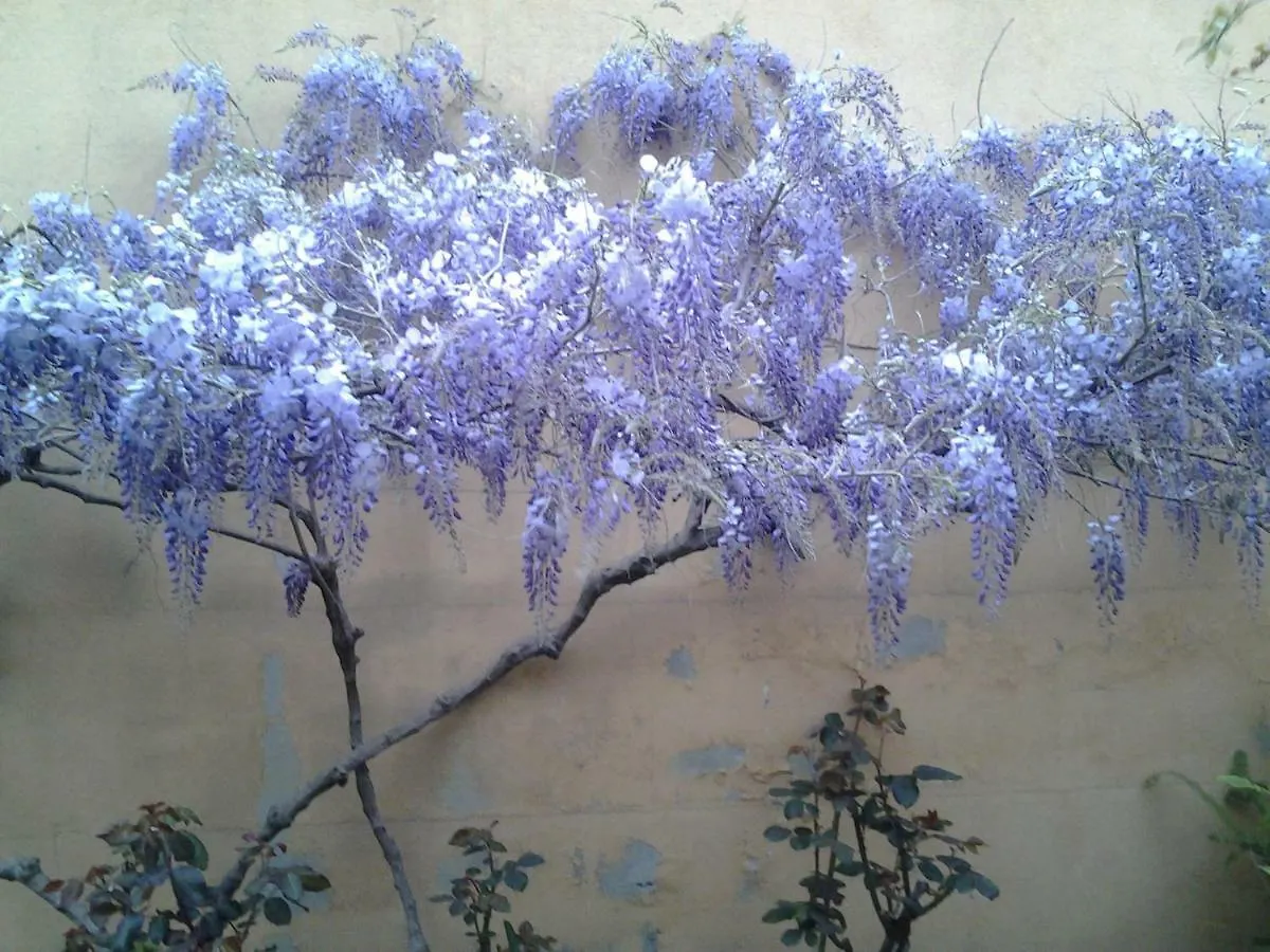 Bed And Breakfast Il Sole Quartucciu Bed & Breakfast Quartu Sant'Elena