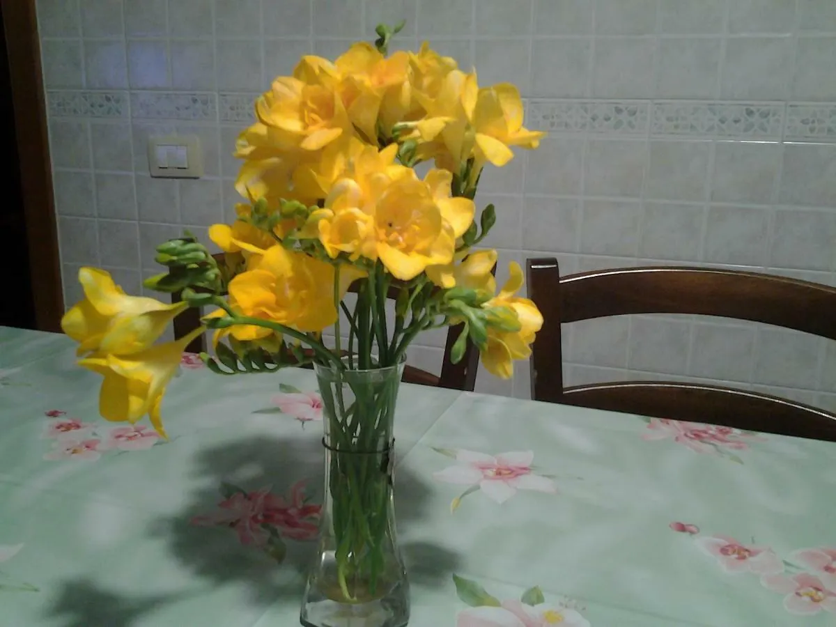 كوارتو سانتيلينا Bed And Breakfast Il Sole